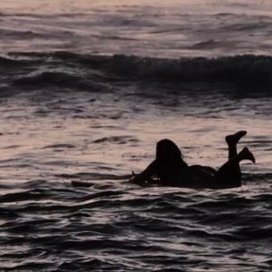 Meet your Posher, Lyla